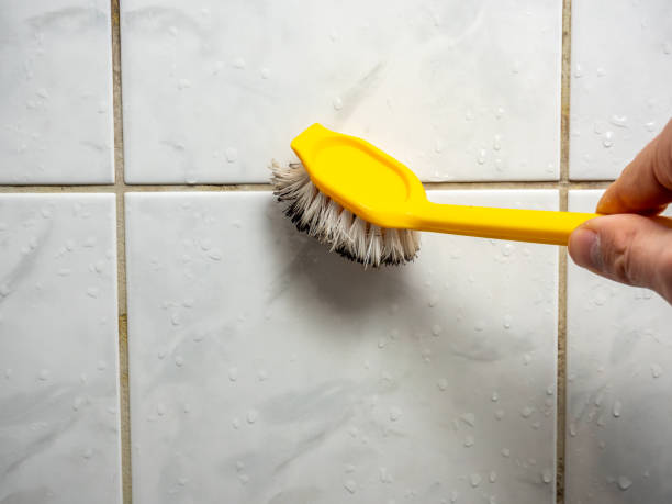 Best Commercial Mold Removal  in Robertsville, NJ