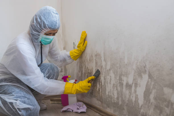 Crawl Space Mold Removal in Robertsville, NJ