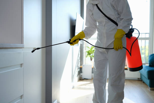 Best Local Mold Removal Service  in Robertsville, NJ