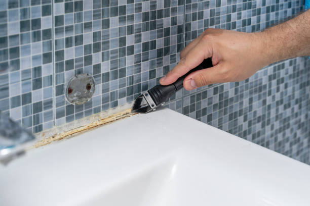 Best Same-Day Mold Removal  in Robertsville, NJ