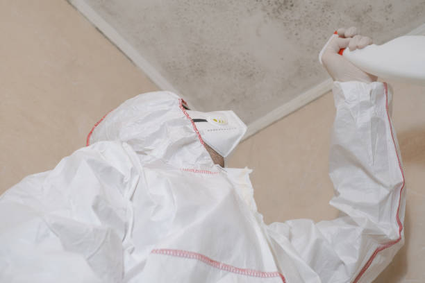 Best Mold Removal Process  in Robertsville, NJ