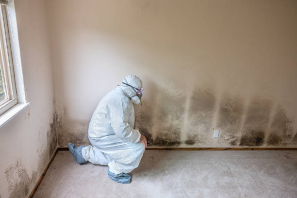 Best Crawl Space Mold Removal  in Robertsville, NJ