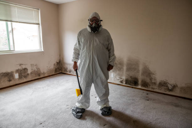 Best Mold Damage Repair  in Robertsville, NJ