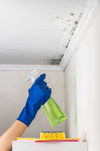 Best Mold Testing  in Robertsville, NJ